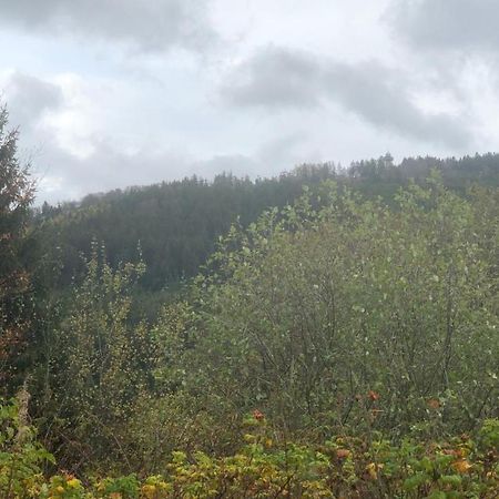 FeWo Berg Idyllika Willingen  Eksteriør bilde