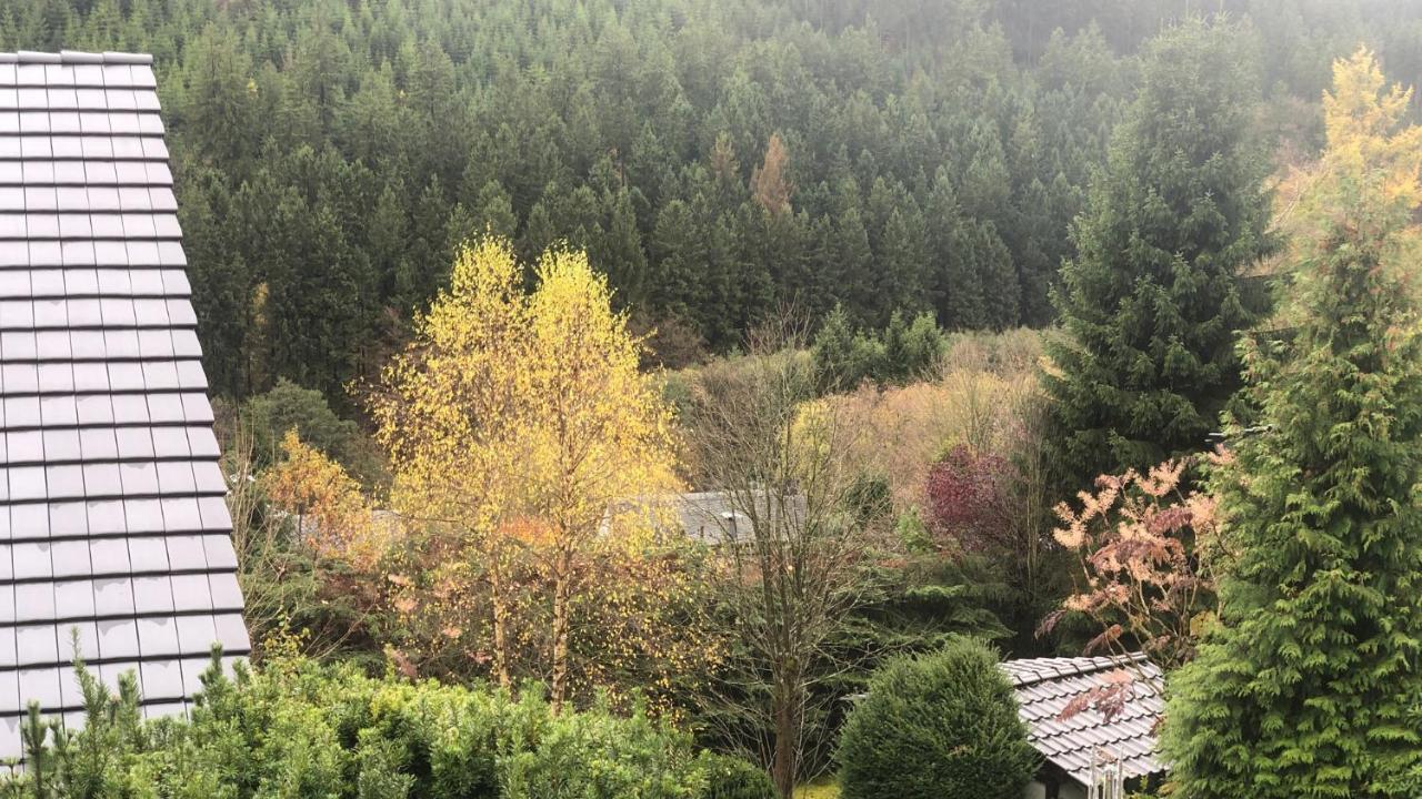 FeWo Berg Idyllika Willingen  Eksteriør bilde