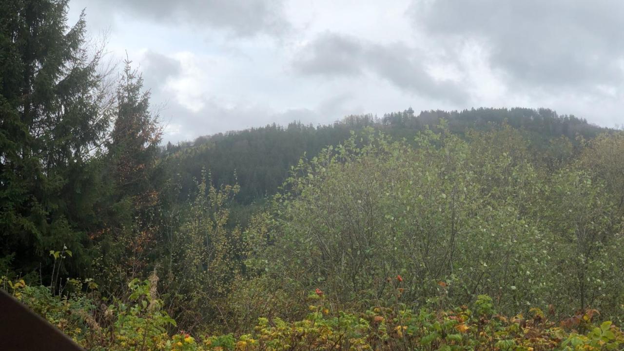 FeWo Berg Idyllika Willingen  Eksteriør bilde