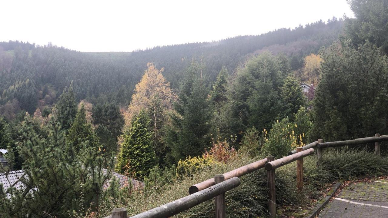 FeWo Berg Idyllika Willingen  Eksteriør bilde
