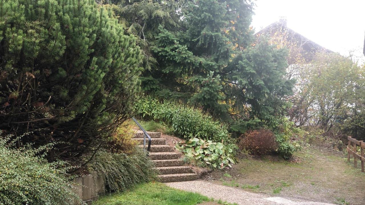 FeWo Berg Idyllika Willingen  Eksteriør bilde