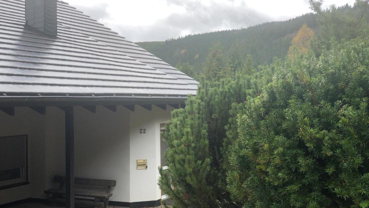 FeWo Berg Idyllika Willingen  Eksteriør bilde